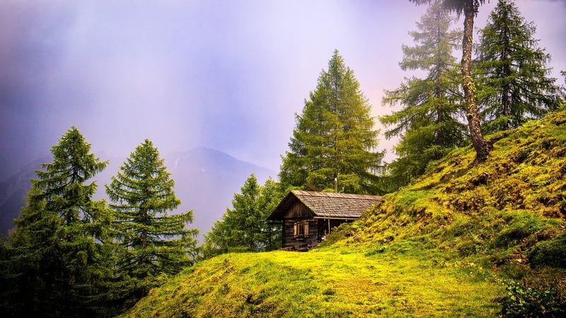 Secluded Cabins