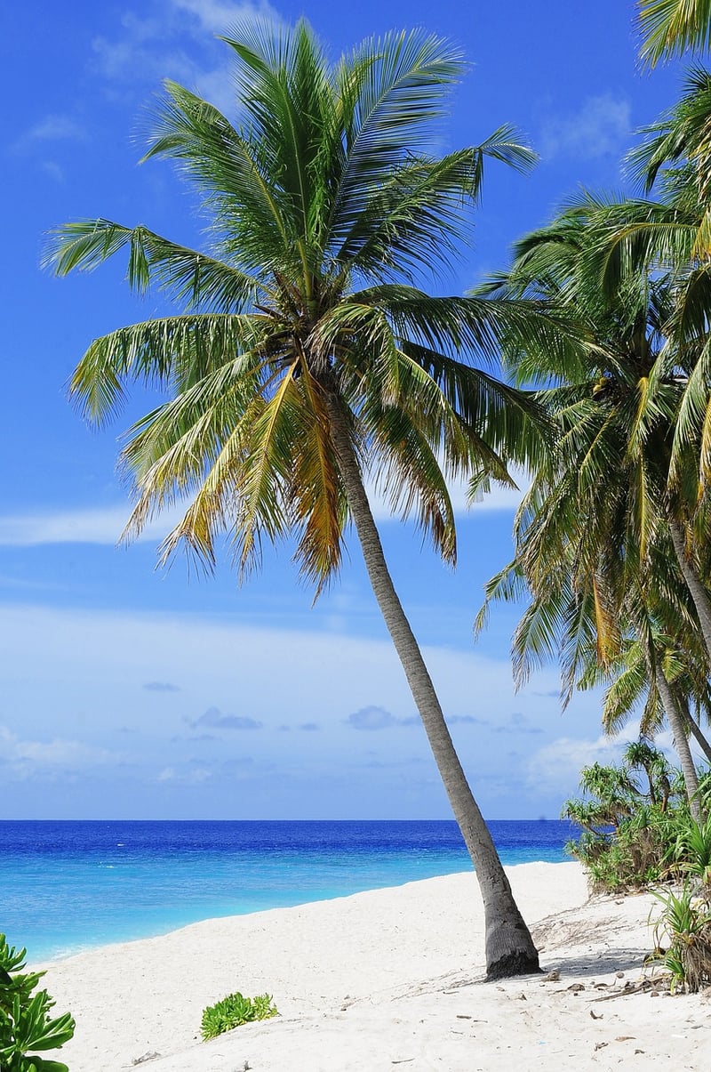 Tropical Island Getaway