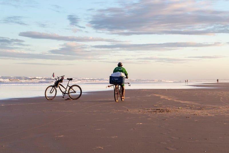 Cyclists on a trail